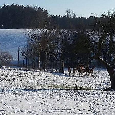 Pension Weinbauer Hofkirchen im Traunkreis Exteriér fotografie