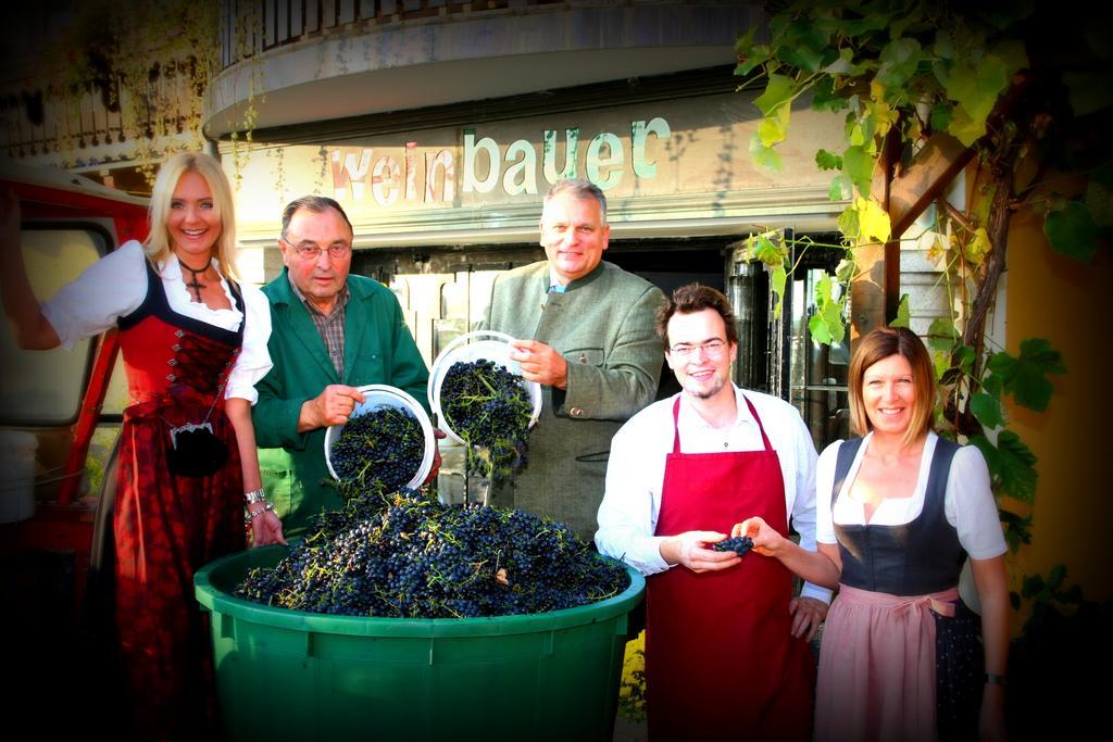 Pension Weinbauer Hofkirchen im Traunkreis Exteriér fotografie