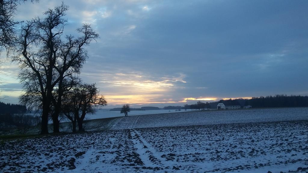 Pension Weinbauer Hofkirchen im Traunkreis Exteriér fotografie