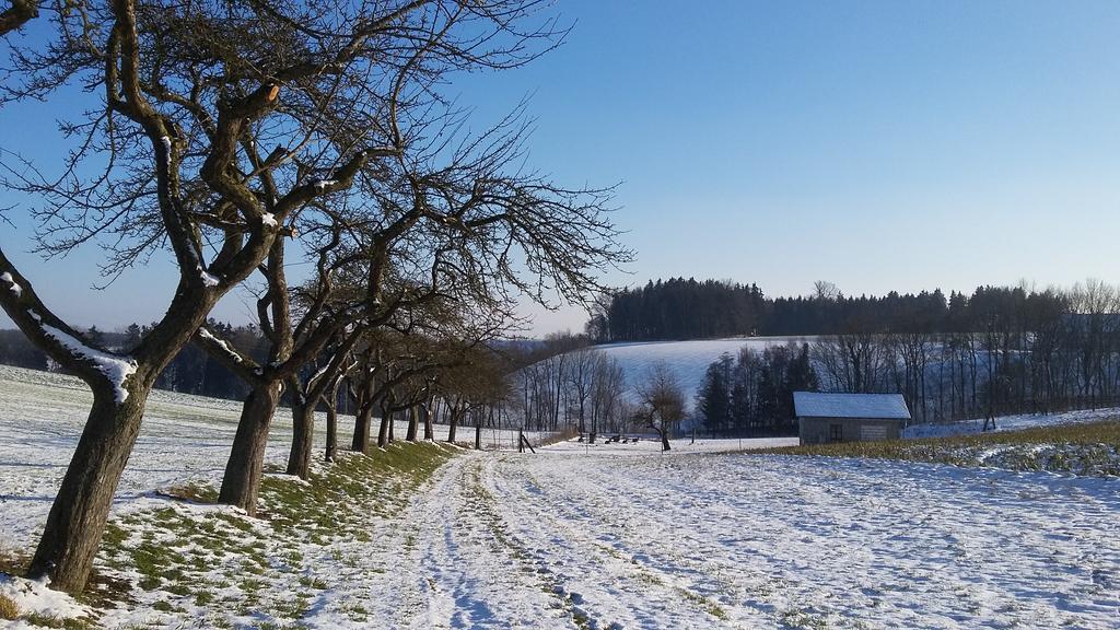 Pension Weinbauer Hofkirchen im Traunkreis Exteriér fotografie